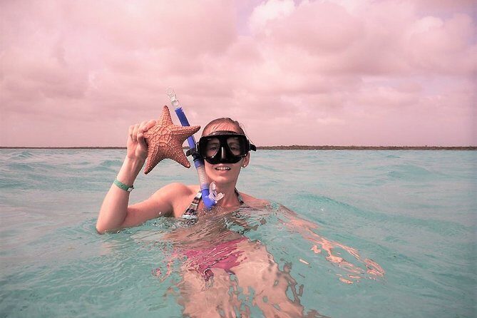 Explore El Cielo in Cozumel. Snorkel in 3 different reefs & visit Cielito Beach. - One-Day Route From Playa del Carmen to Cozumel: How the Timing Works