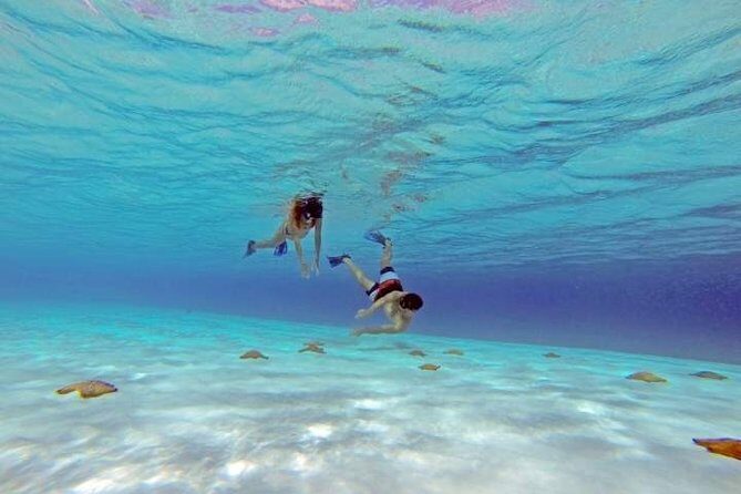 Explore El Cielo in Cozumel. Snorkel in 3 different reefs & visit Cielito Beach. - Palancar and Colombia Reefs: Corals, Fish, and the September 2023 Change