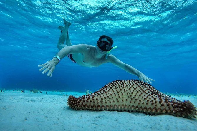 Explore El Cielo in Cozumel. Snorkel in 3 different reefs & visit Cielito Beach. - Boat Ride Reality: Crew, Seating, and Language on Shared Groups