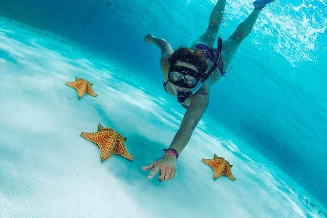 Explore El Cielo in Cozumel. Snorkel in 3 different reefs & visit Cielito Beach. - Snorkeling El Cielo: The Starfish Rules That Keep the Magic Intact
