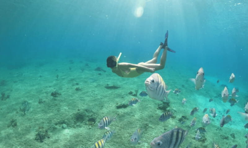 Explore the sea of cozumel in a transprent boat with drinks and snorkel. - Snorkeling the artificial LEGO reef: what you do at the end