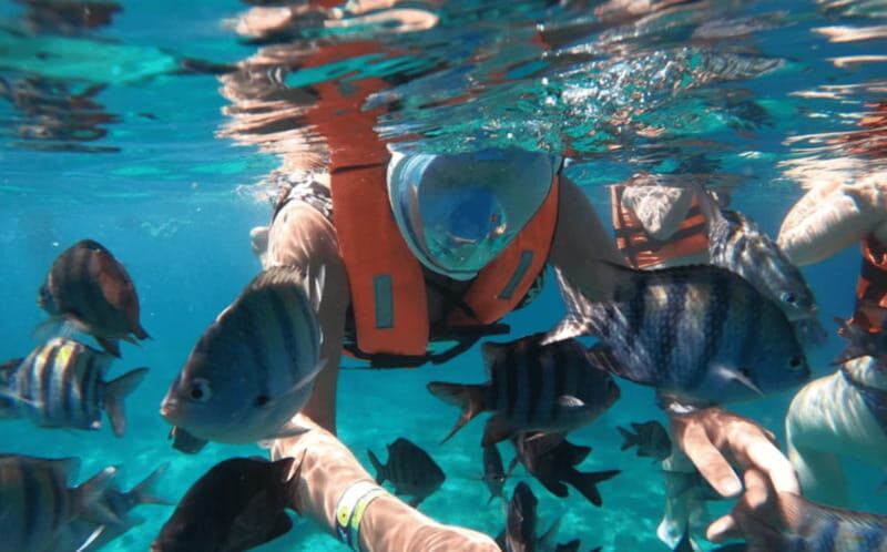 Explore the sea of cozumel in a transprent boat with drinks and snorkel. - What to bring (and what not to): rules that affect comfort