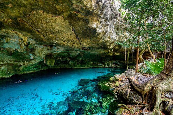 Explore Tulum and Dos Ojos Cenote with lunch and transportation - Transportation, Timing, and What a Long Day Feels Like