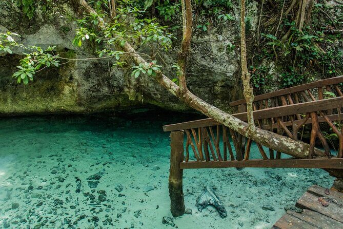 Explore Tulum and Dos Ojos Cenote with lunch and transportation - Food on the Day: Included Meal, Varying Quality