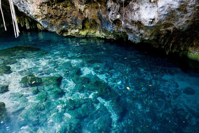 Explore Tulum and Dos Ojos Cenote with lunch and transportation - Dos Ojos Cenotes Park: Two Swims and a Real Time-Out