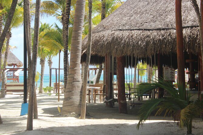 Fascinating beach club at Riviera Maya, full day pass with transport included - What the $129 price really buys (and what it doesn’t)