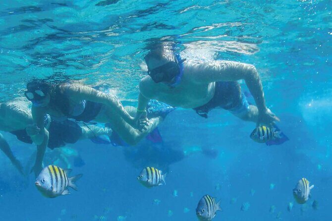 Fast & Fun: Cancun Speedboat Tour with Snorkeling - Should you book the Cancun speedboat plus snorkeling?