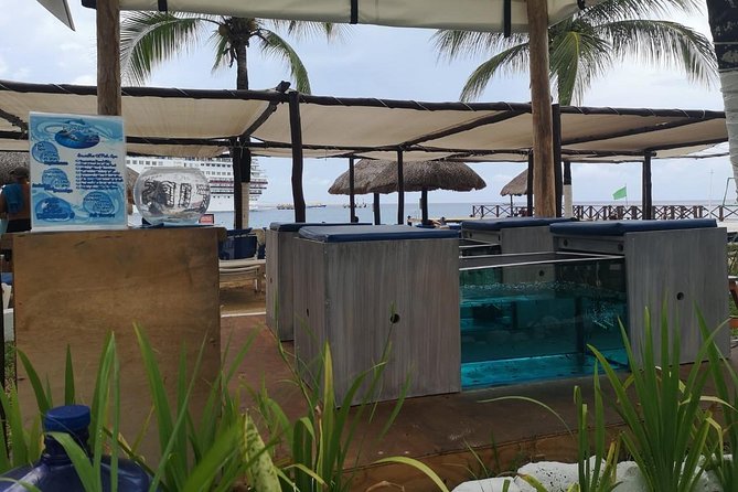 Fish Spa, Beach Break with Lounge Chairs, Umbrellas & Beach Area - Fish-Tank Pedicure Meets a Beach Club Day in Cozumel