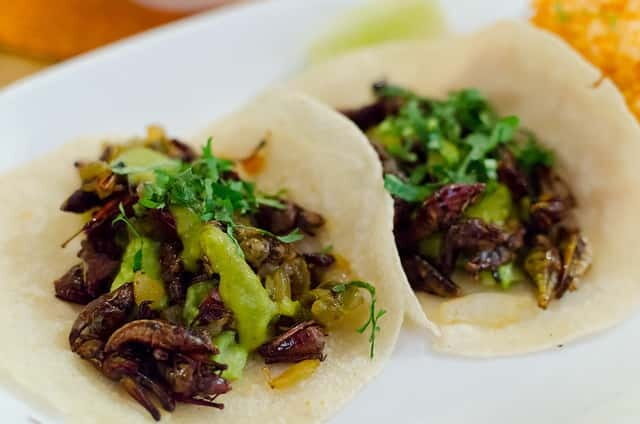 Food Hoppers 2.5-Hour Tour in Playa del Carmen - The Tasting Route: From Taco Stands to Big Flavors