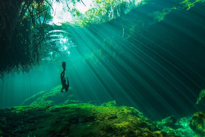 Freediving Intro for Beginners in a Cenote in Tulum Mexico - First Sessions Underwater: 7 Meters Max and Practical Drills