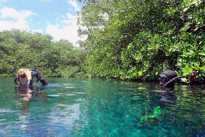 Freediving Intro for Beginners in a Cenote in Tulum Mexico - Price and Value at $214.94 Per Person