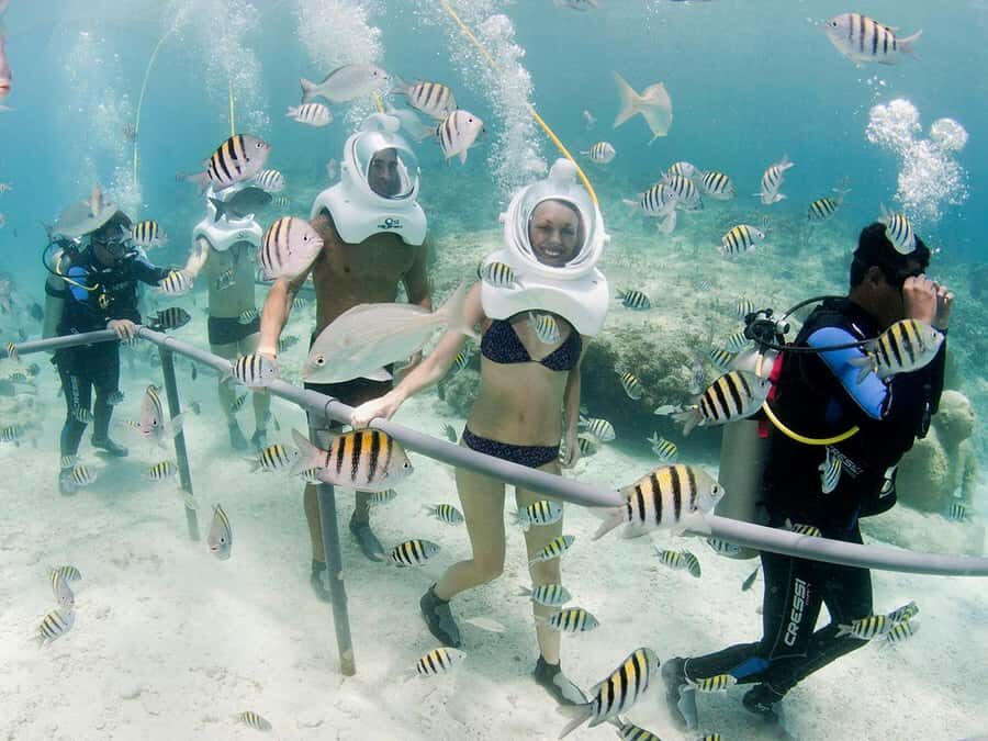 From Cancun: Complete Combo to Xcaret Park! - The voucher and WhatsApp rule that can stop you cold