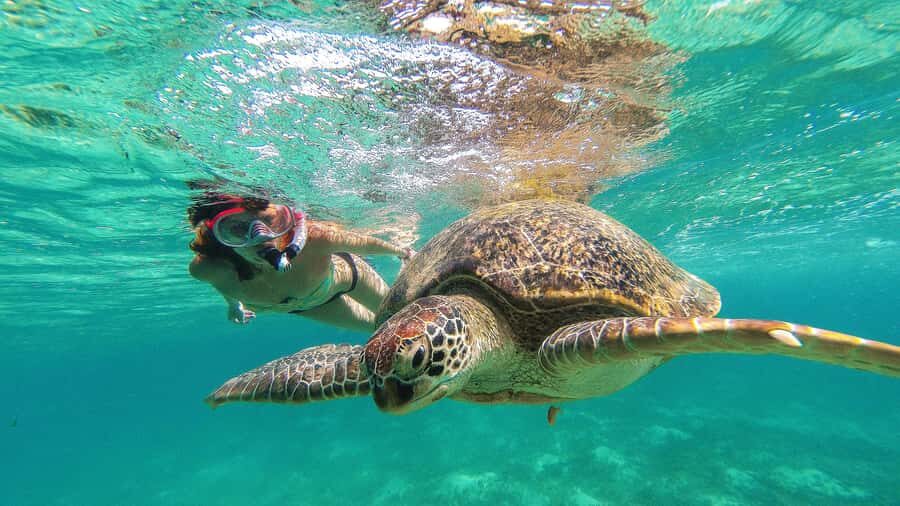 From Cancun: Day Trip to Tulum and Mariposa Cenote - Getting There From Cancun or Puerto Morelos Without Losing Your Day