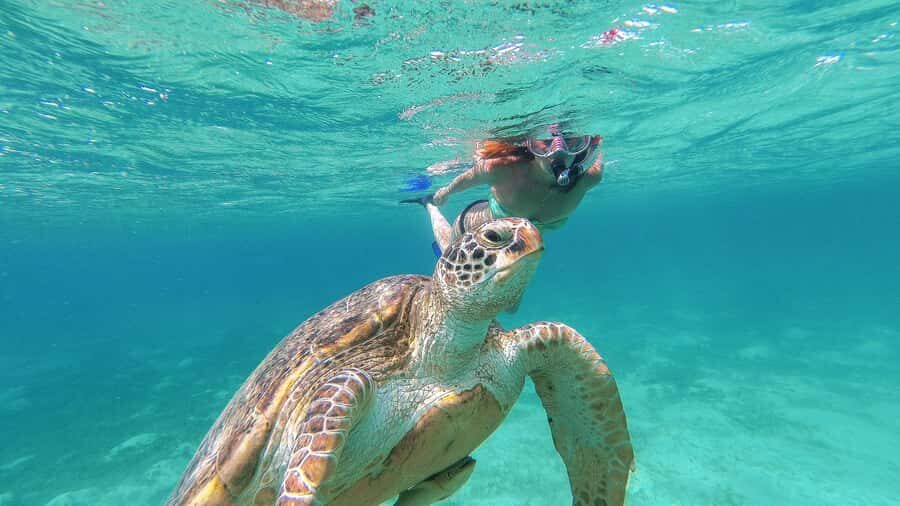 From Cancun: Day Trip to Tulum and Mariposa Cenote - Who This Day Trip Is Best For (and Who Might Skip It)