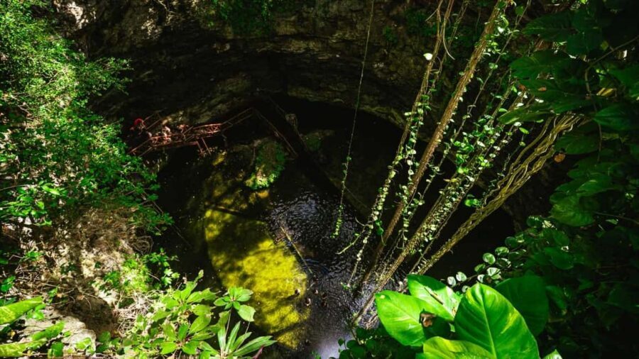 From Cancun: Ek Balam and Cenote Tour with Lunch & Transfer - Timing, Transport Comfort, and How Long You’ll Really Be Out