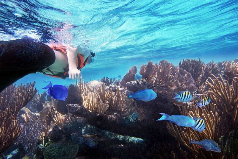 From Cancun: Garrafon Reef Park Admission with Ferry Tickets - A Full-Day Ferry to Isla Mujeres: How the 8–9 Hours Play Out