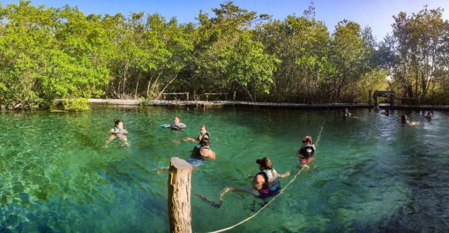 From Cancun or Puerto Morelos: Holbox Boat Tour with Lunch - Price and What You Really Pay for: $104 plus the $40 Surcharge