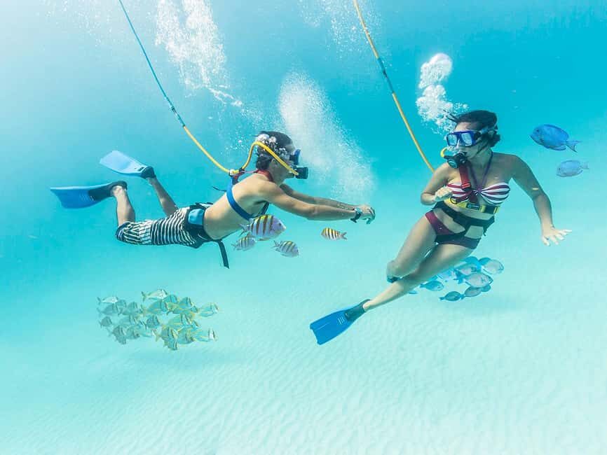 From Cancun: Xcaret Park All-Inclusive - Key highlights to know before you go