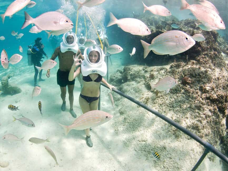 From Cancun: Xcaret Park All-Inclusive - What’s included vs. what you still pay for