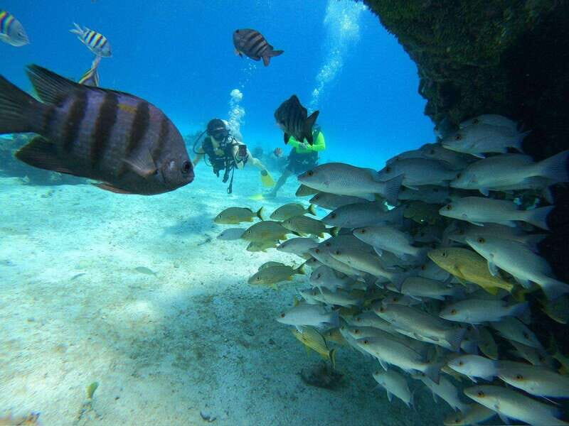 From Cozumel: Chankanaab Cozumel Scuba Diving - First-Time Friendly: What the One-Tank Intro Really Feels Like