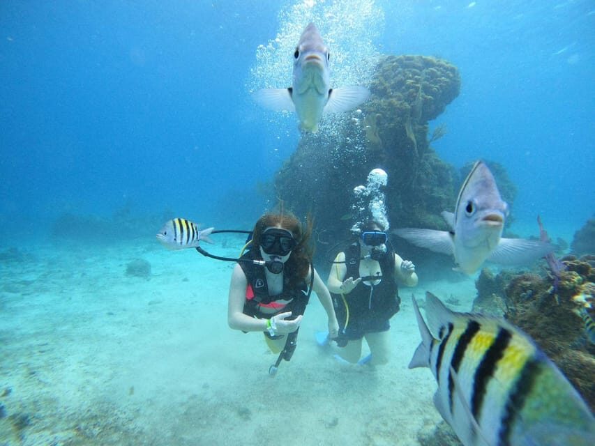 From Cozumel: Chankanaab Cozumel Scuba Diving - How the Scuba Session Works for Both Certified and Non-Certified People