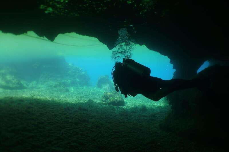 From Cozumel: Chankanaab Cozumel Scuba Diving - The Best Part After: Beach Access and Park Extras