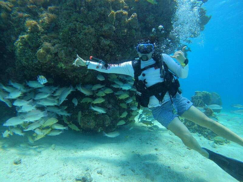 From Cozumel: Chankanaab Cozumel Scuba Diving - Price and Value: Is $60 a Good Deal Here?