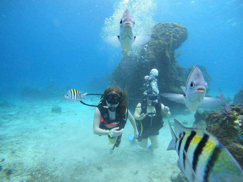 From Cozumel: Chankanaab Cozumel Scuba Diving - Logistics That Matter: Timing, Language, and What to Bring