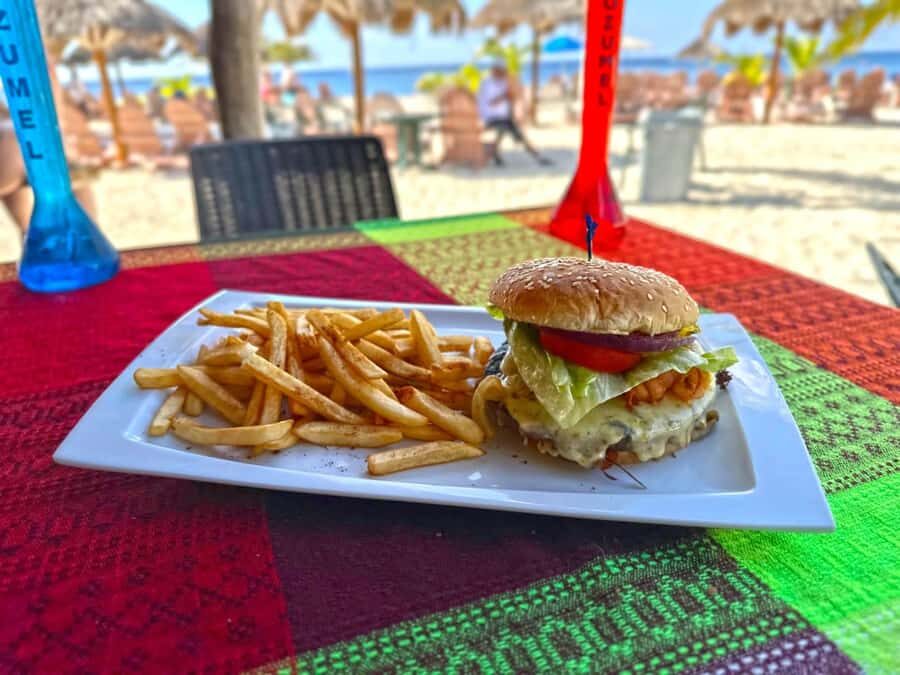From Cozumel: Chankanaab Park Day pass with Open Bar & Lunch - Key things to know before you go