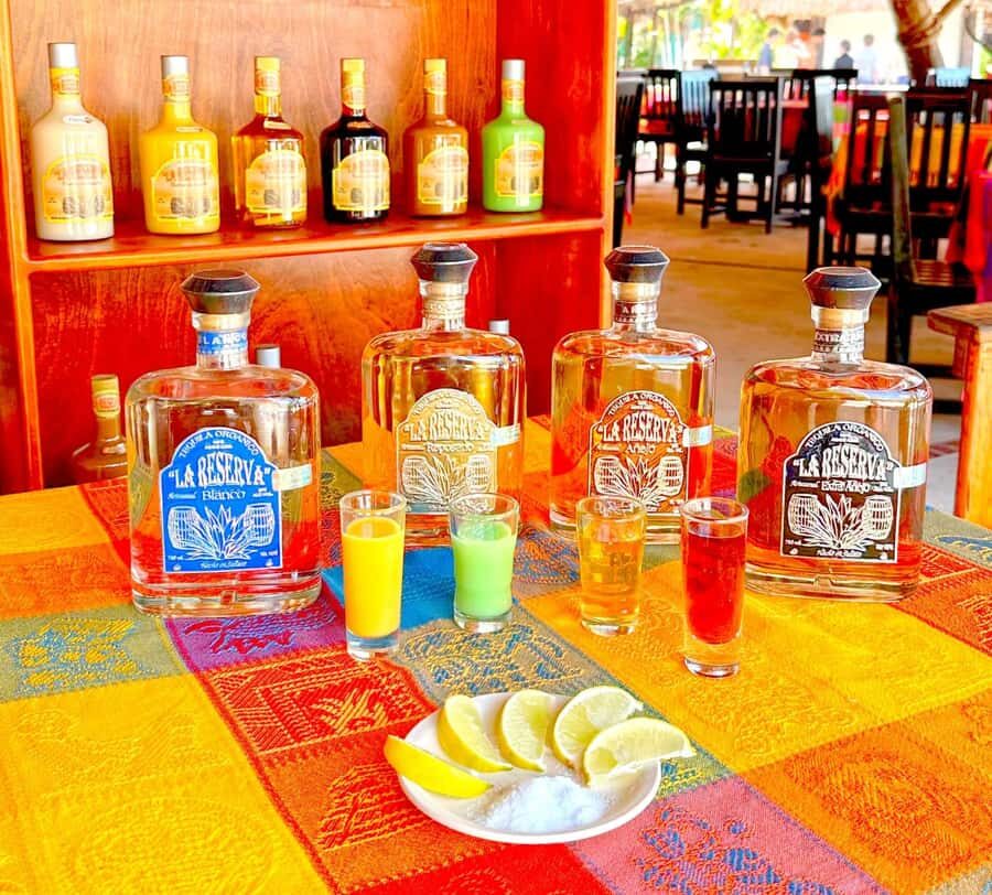 From Cozumel: Chankanaab Park Day pass with Open Bar & Lunch - Should you book this day pass?