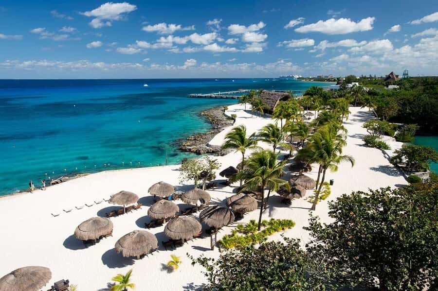 From Cozumel: Chankanaab Park Day pass with Open Bar & Lunch - Guided snorkeling setup: gear, safety, and reef views