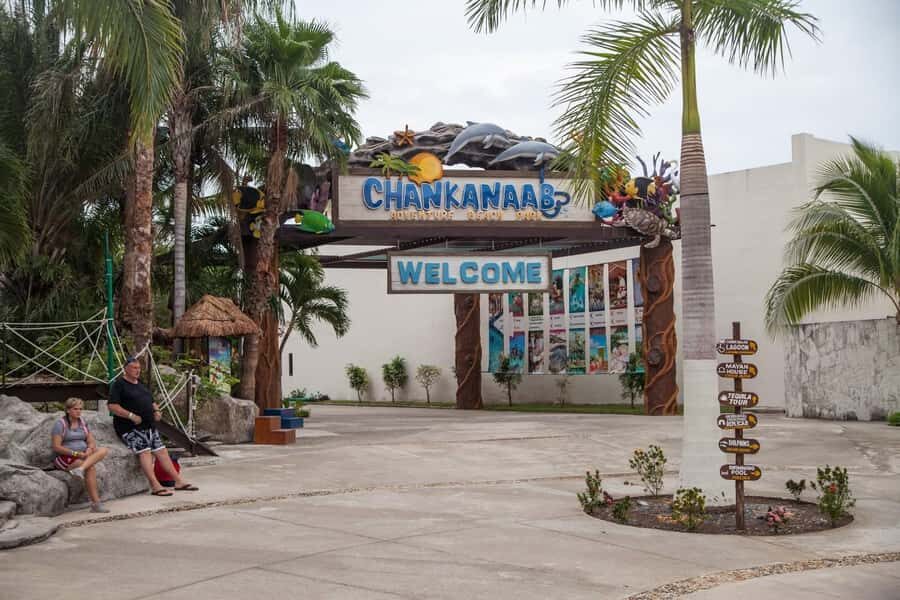 From Cozumel: Chankanaab Park Day pass with Open Bar & Lunch - Lunch by the sea plus an open bar: where the value lands