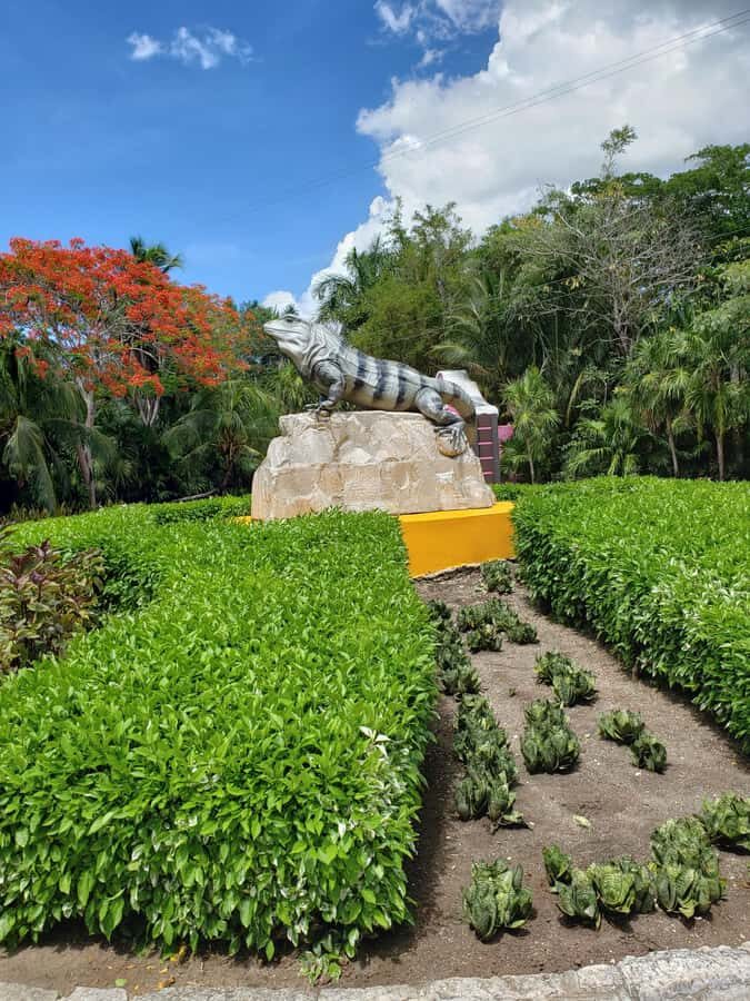 From Cozumel: Chankanaab Park Day pass with Open Bar & Lunch - Sea lion shows and Mayan replicas: family-friendly without feeling gimmicky