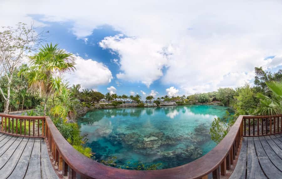 From Cozumel: Chankanaab Park Day pass with Open Bar & Lunch - Marine fee, cash, and the small stuff that saves your day