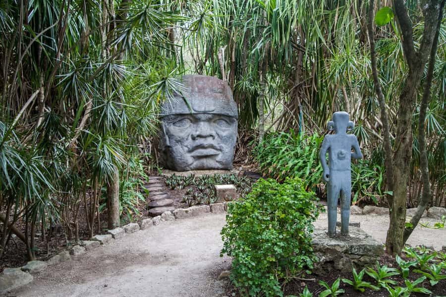 From Cozumel: Chankanaab Park Day pass with Open Bar & Lunch - Who this Chankanaab day pass is best for