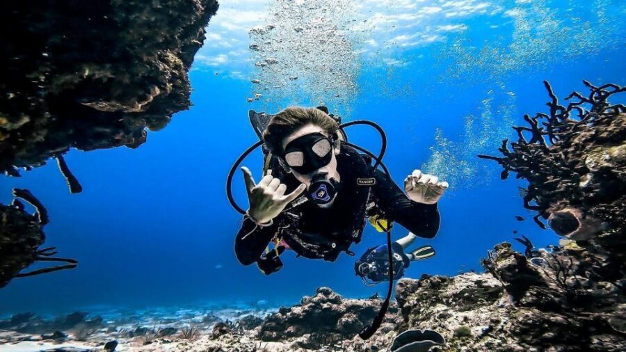 From Cozumel: Double Tank Scuba Diving for Certified Divers - Price and Value: What $168 Covers, and What Adds Up