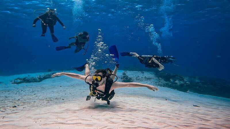 From Cozumel: Double Tank Scuba Diving for Certified Divers - Stop One: Marine Life Viewing, Safety Briefing, Then 45 Minutes Underwater