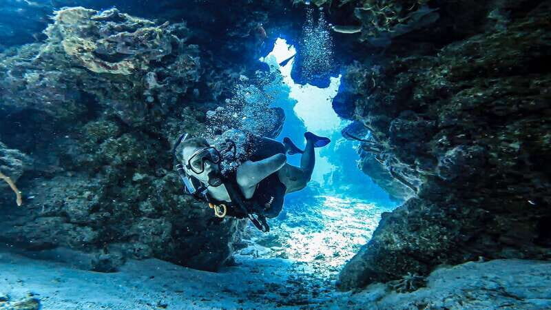 From Cozumel: Double Tank Scuba Diving for Certified Divers - Stop Two: Another Reef Site and More of the “How Is This Real?” Moments