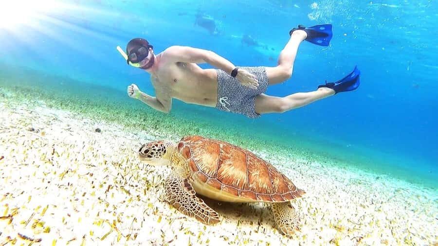 From Cozumel: El Cielo Beach by Catamaran Snorkeling Tour - Playa Palancar Stop: Snorkel Setup and Reef-First Momentum
