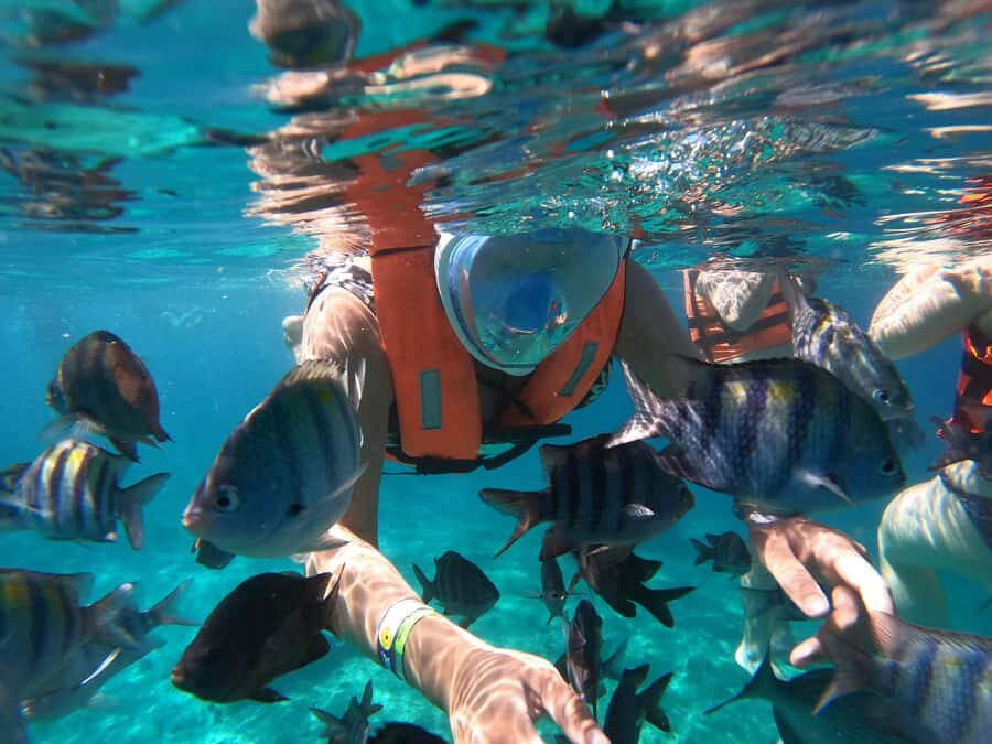 From Cozumel: Invisible Boat Snorkeling Tour - The “dry viewing” value: what you’ll see from above