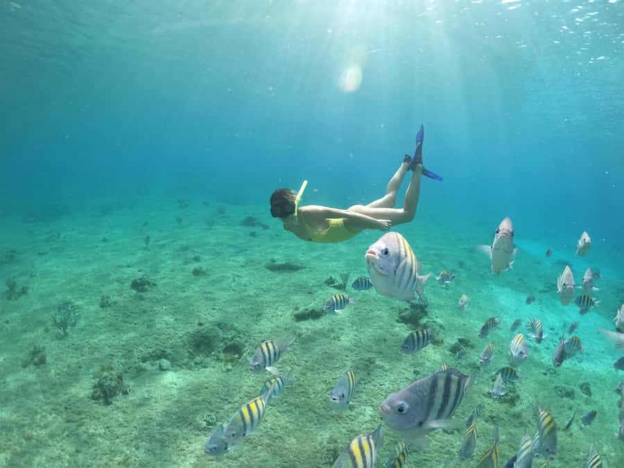 From Cozumel: Invisible Boat Snorkeling Tour - The snorkeling stop: gear included, but water time is limited