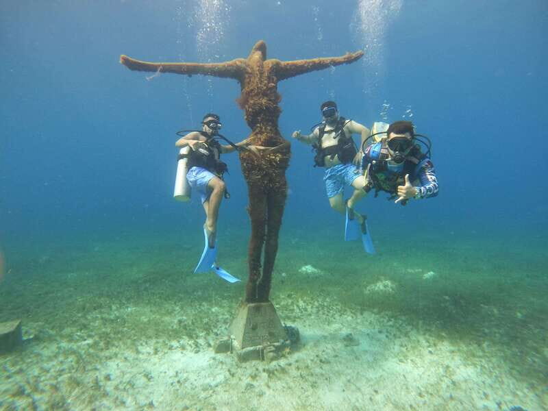 From Cozumel: Official Chankanaab Park Day Pass and Snorkel - Sea lion show: why it belongs in your plan