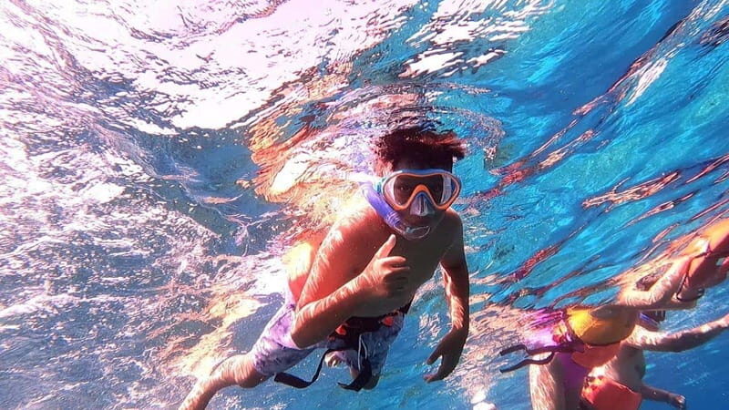 From Cozumel: Official Chankanaab Park Day Pass and Snorkel - The “3 hours” reality: how to pace your time