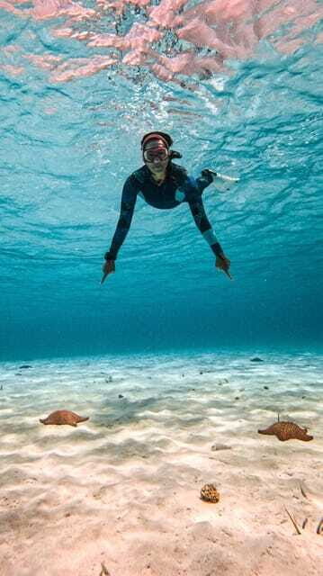 From Cozumel: Snorkel Private Charter to el Cielo & Cielito - El Cielo: Starfish, Crystal-Clear Water, and Calm Breaks