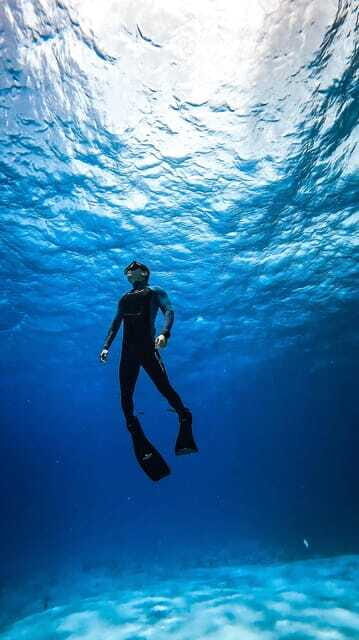 From Cozumel: Snorkel Private Charter to el Cielo & Cielito - Ceviche, Guacamole, and Beer: The Part People Actually Remember