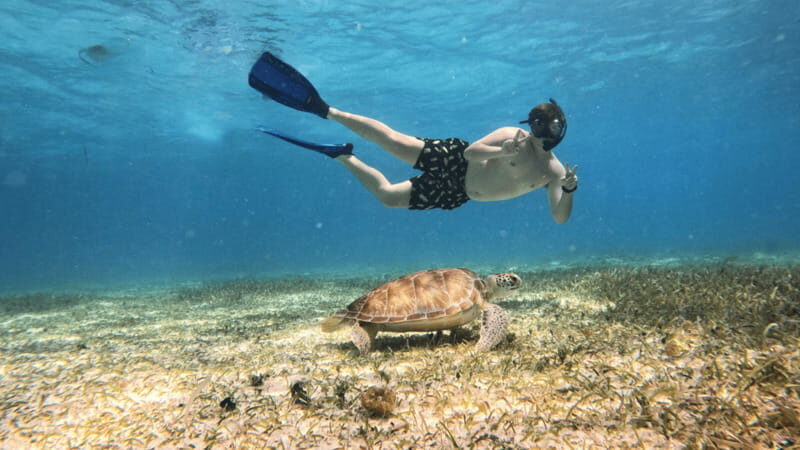 From Cozumel: Snorkel Private Charter to el Cielo & Cielito - Price, Value, and Who This Tour Fits Best