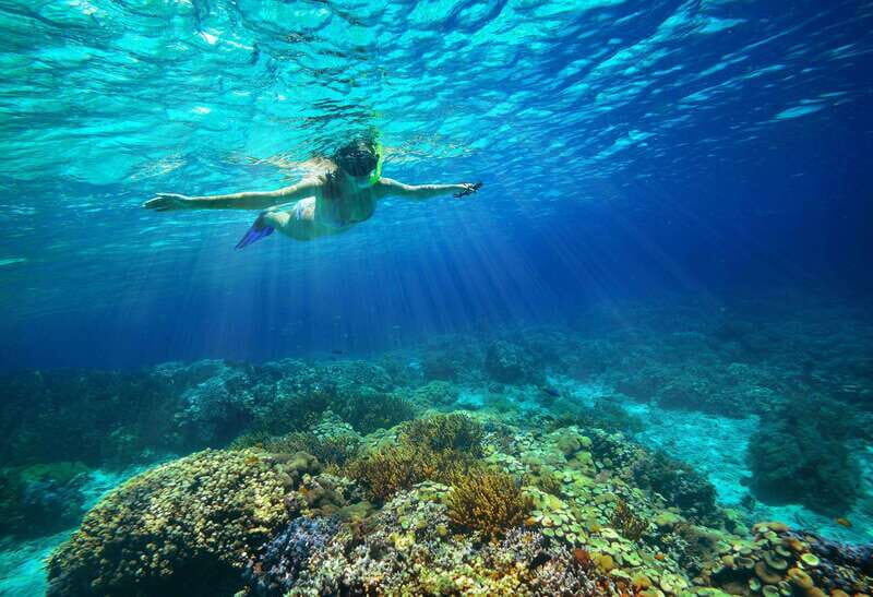 From Cozumel: Snorkel Private Charter to el Cielo & Cielito - FAQ