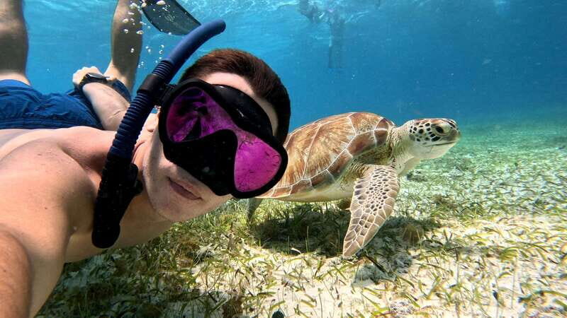 From Cozumel: Snorkel Private Charter to el Cielo & Cielito - Marina Asipona to Open Water: Your 4-Hour Flow