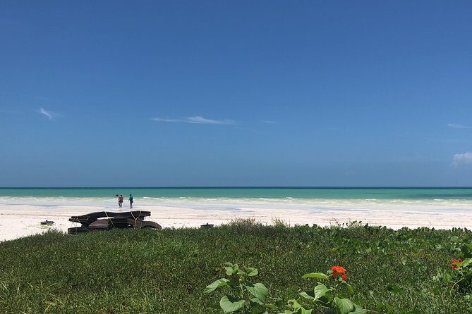 From Holbox to Cancun Private Transportation - Where You Might Need to Pay Extra Attention
