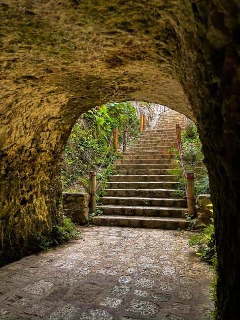 From Merida: 3 Cenotes - Who this tour suits best